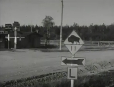 a rural landscape with a store in the background and a road sign with a bison icon in the foreground